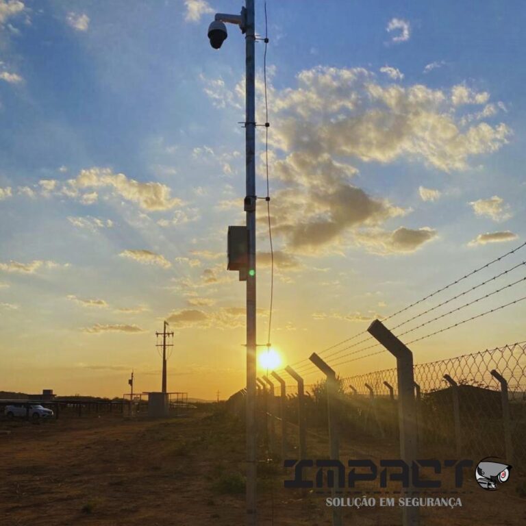 WhatsApp Image 2024-11-25 at 09.13.50